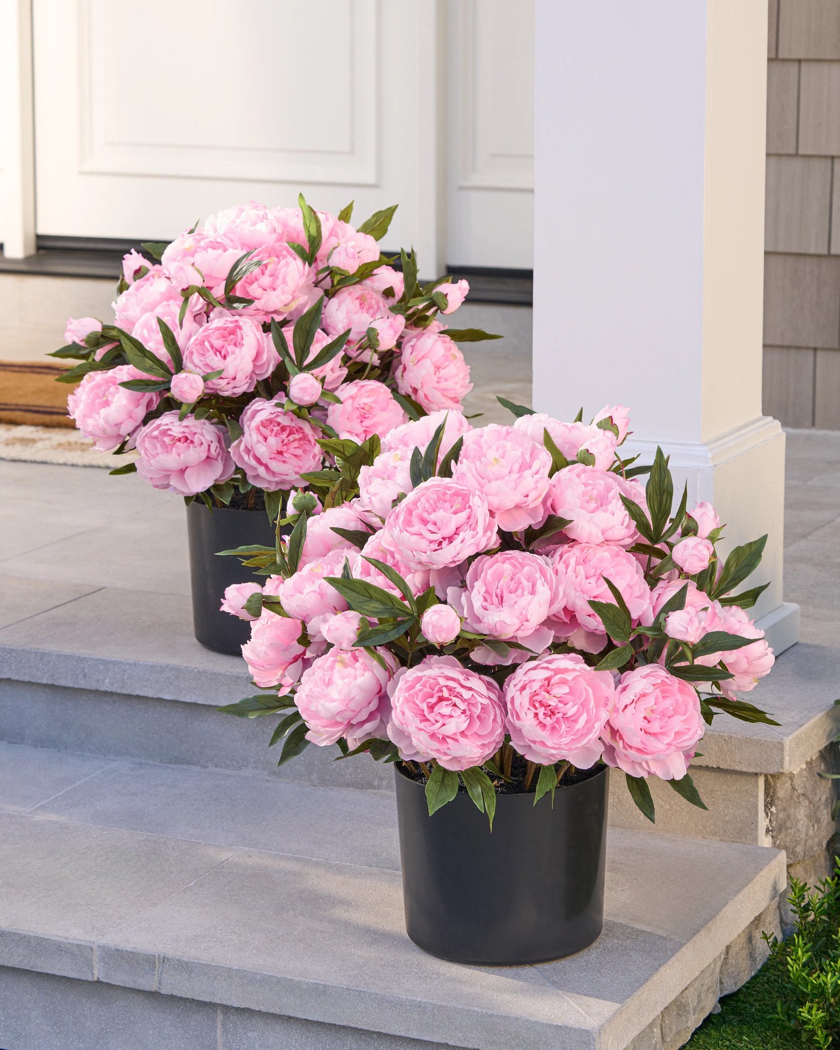 Illuminatore per Vasi Rosa Cipresso Paradiso